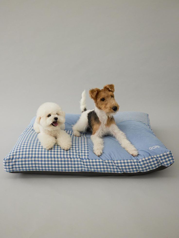 Comfortable pet essentials