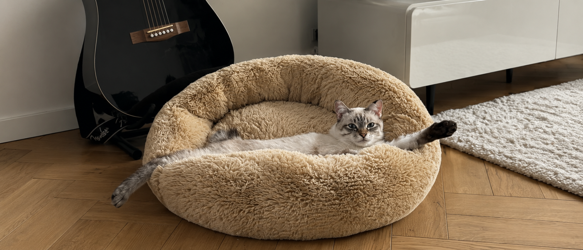 Thoughtful pet essentials for everyday life