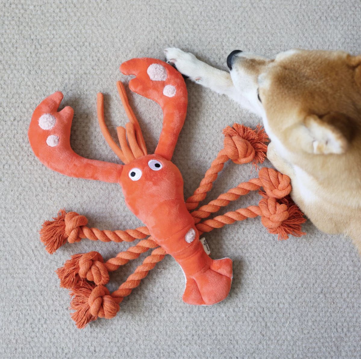 Pet play essentials