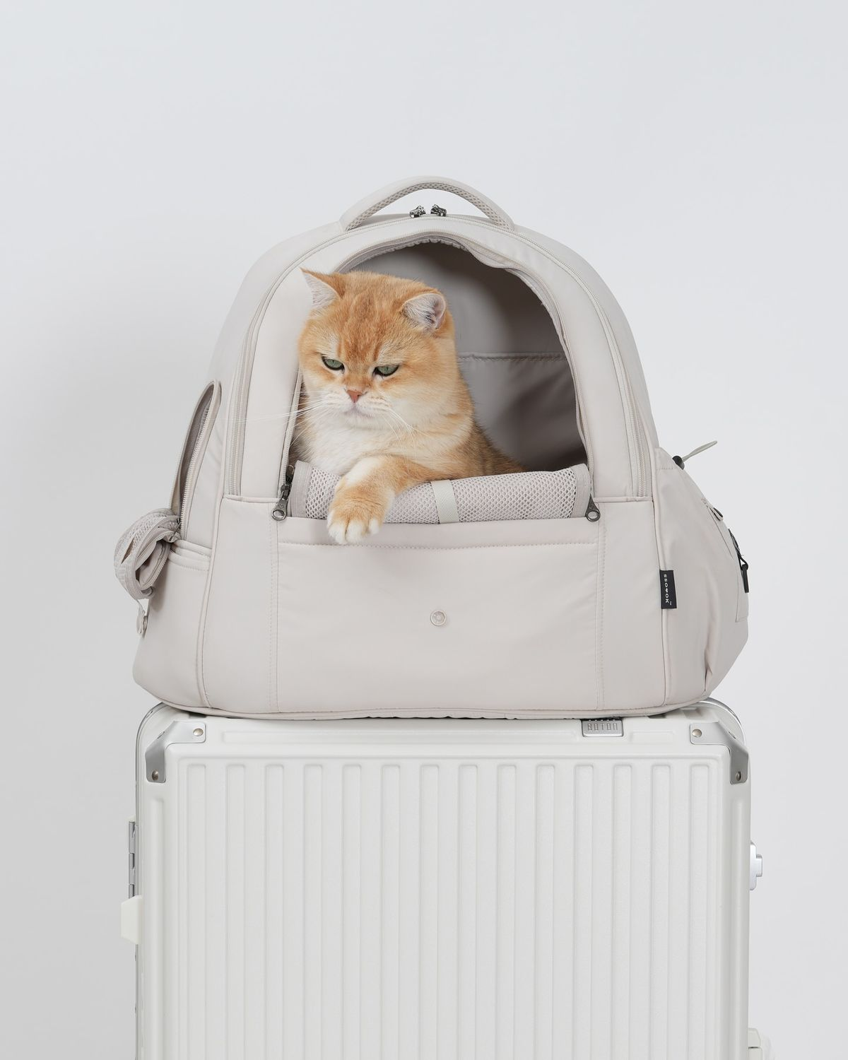 Pet travel essentials